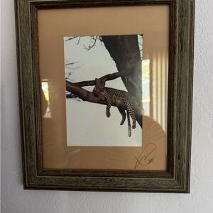 Leopard photo, framed 11x14, xlnt